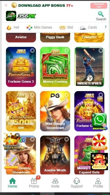 Fast local payments for 356PK APK download Pakistan